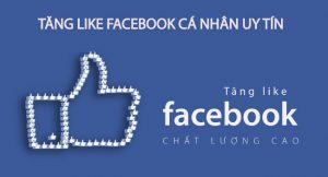 cách tăng like facebook cá nhân uy tín