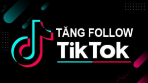 Tăng follow tik tok, hack follow tiktok giá rẻ